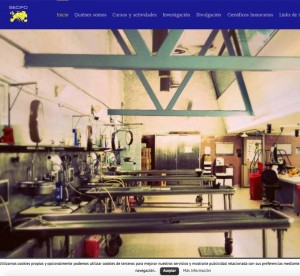 diseño web sociedad europea de ciencias forenses zaragoza